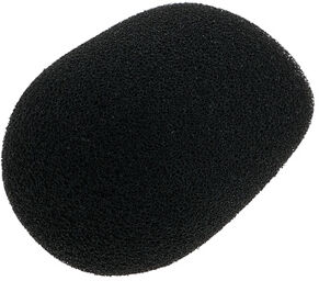 Speech 100 C/D Mic Windscreen