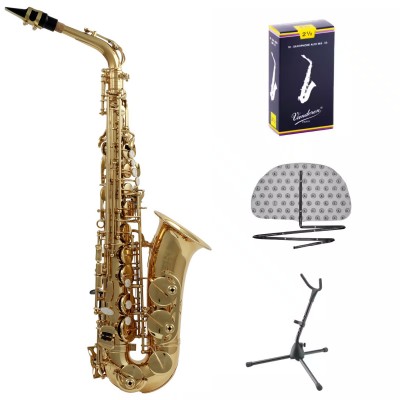 Pack WSA100 - Alto Mi b Verni