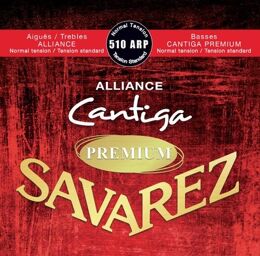 510ARP NT Alliance Cantiga P