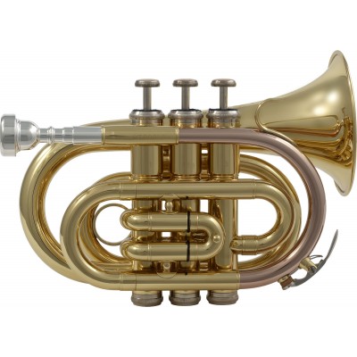 WTP200P - Si B Verni
