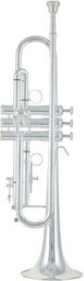 Sella Bb-Trumpet 115 13