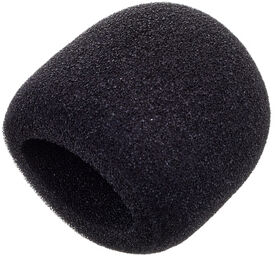 Windscreen WS60