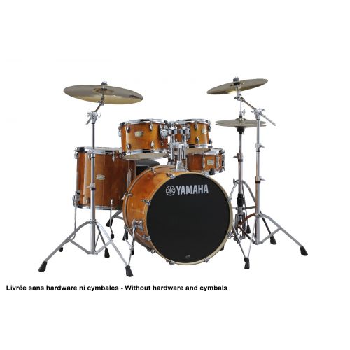 Stage Custom Birch Standard Honey Amber (sans Hardware)
