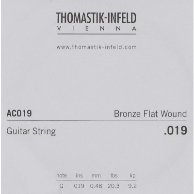 AC019 Plectrum Bronze Flat Wound 019
