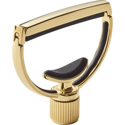 Heritage Guitar Style 1 Wide Gold