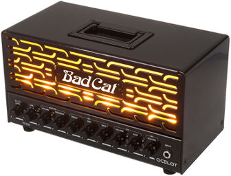 Ocelot Lunchbox Head