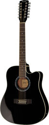 D-200CE-12BK Noir