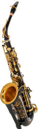 Signature Alto Sax SE-ASIB