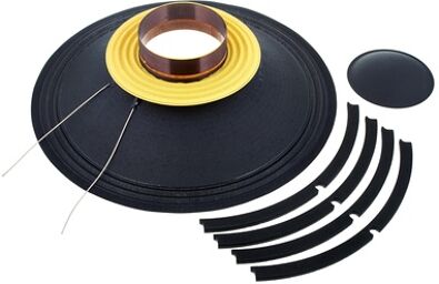 R15 P200AK-II 8 Ohm Reconekit