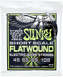 Flatwound 2818