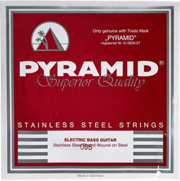 095 Single String bass guitar