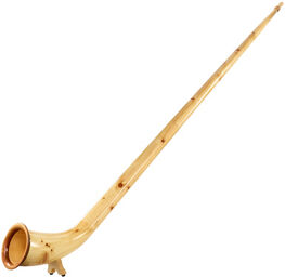 Matterhörnli Stone Pine in Bb