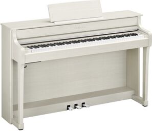 CLP-835 WB Bouleau blanc