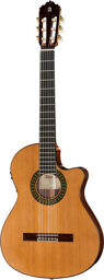 5P CT E2 incl.Gig Bag Naturel