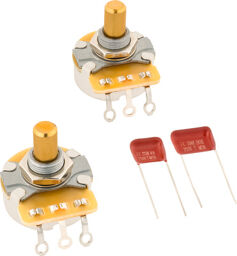 Telecaster Poti & Cap Kit