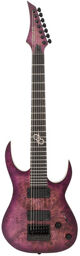 S1.7APP Poplar Purple Burst Poplar Purple Burst