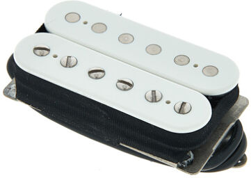 DP255W Transition Bridge