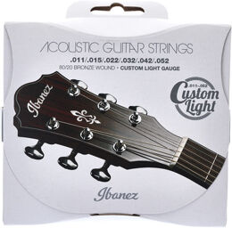 IACS62C Acoustic Steel Strings