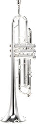 LT180S77 Bb-Trumpet MAW Valve