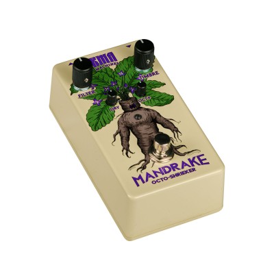 Mandrake