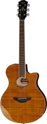 APX 600 FM Amber Amber