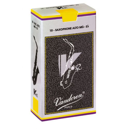 V12 4 - Saxophone Alto