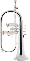 YFH-8315 GS 02 Flugelhorn