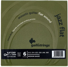 AJF1260 Acoustic Guitar Str.