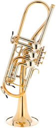 Ganschhorn heavy UL
