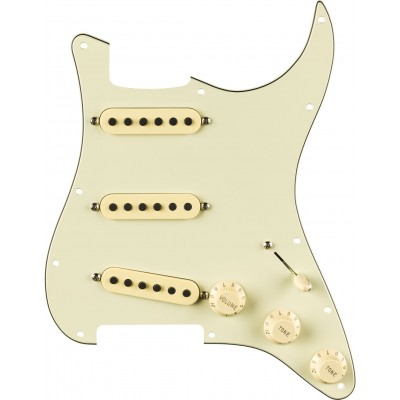 Pre-wired Strat Pickguard, Eric Sign. Mint Green 11 Hole Pg