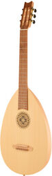 Lute Guitar