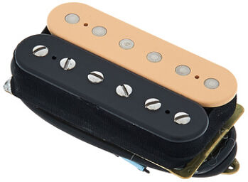 DP155F BC The Tone Zone