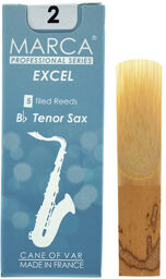Excel Tenor Saxophone 2.0