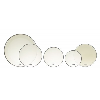10/12/14/14/20 Alverstone Transparente Fusion Pack