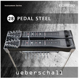 Pedal Steel