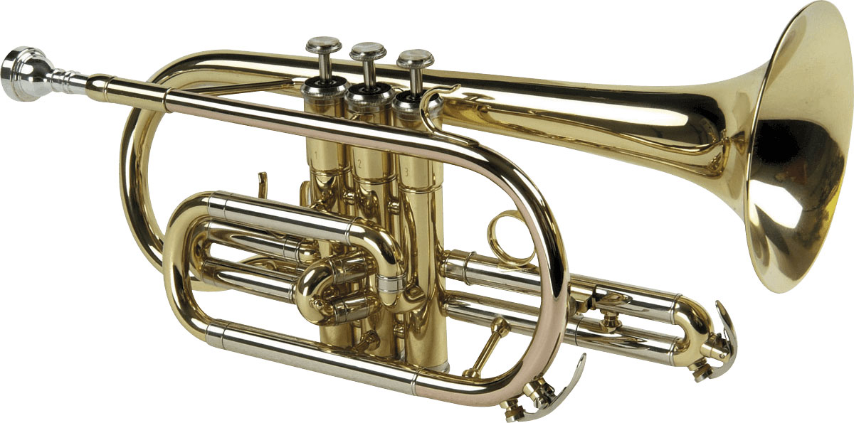 CO50 - Sib Verni - Stock B