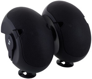 Evid 4.2 Black noires
