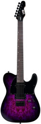 LTD TE-200DX PB Purple Burst