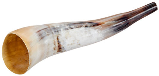 Cow Horn polished