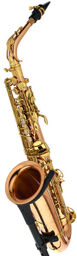 A-WO2 Alto Sax