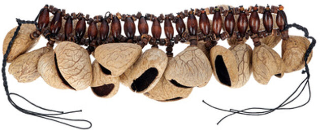 Ankle Shaker Pangi Seeds