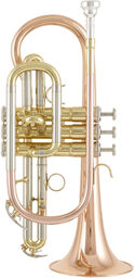 CR 600 G Bb-Cornet