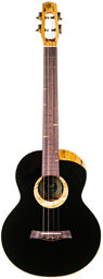 4SB Sammy Turton Baritone