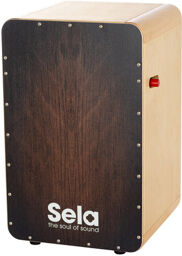 SE045 CaPro Brown Dragon