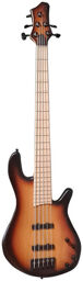 Merak 5 Honey Burst Honey Sunburst