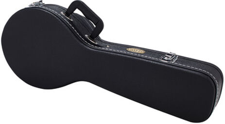 Round Back Mandolin Case