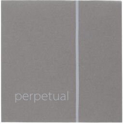 Perpetual Cadenza E Violin 4/4