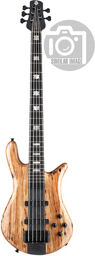 Spector Euro 5 CST Spalted Maple Ltd Naturel haute brillance