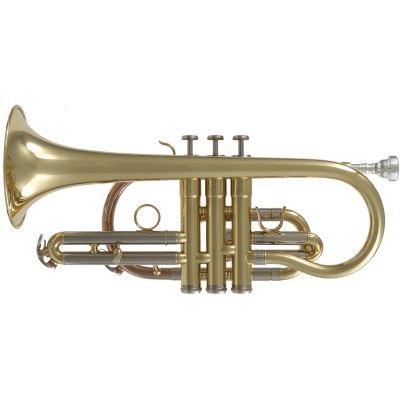 WCR200 - Si B Verni