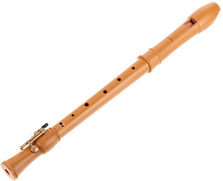 2296 Canta Alto Recorder